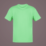 Solid Blank Round Neck Half Sleeve T-Shirt - Pista