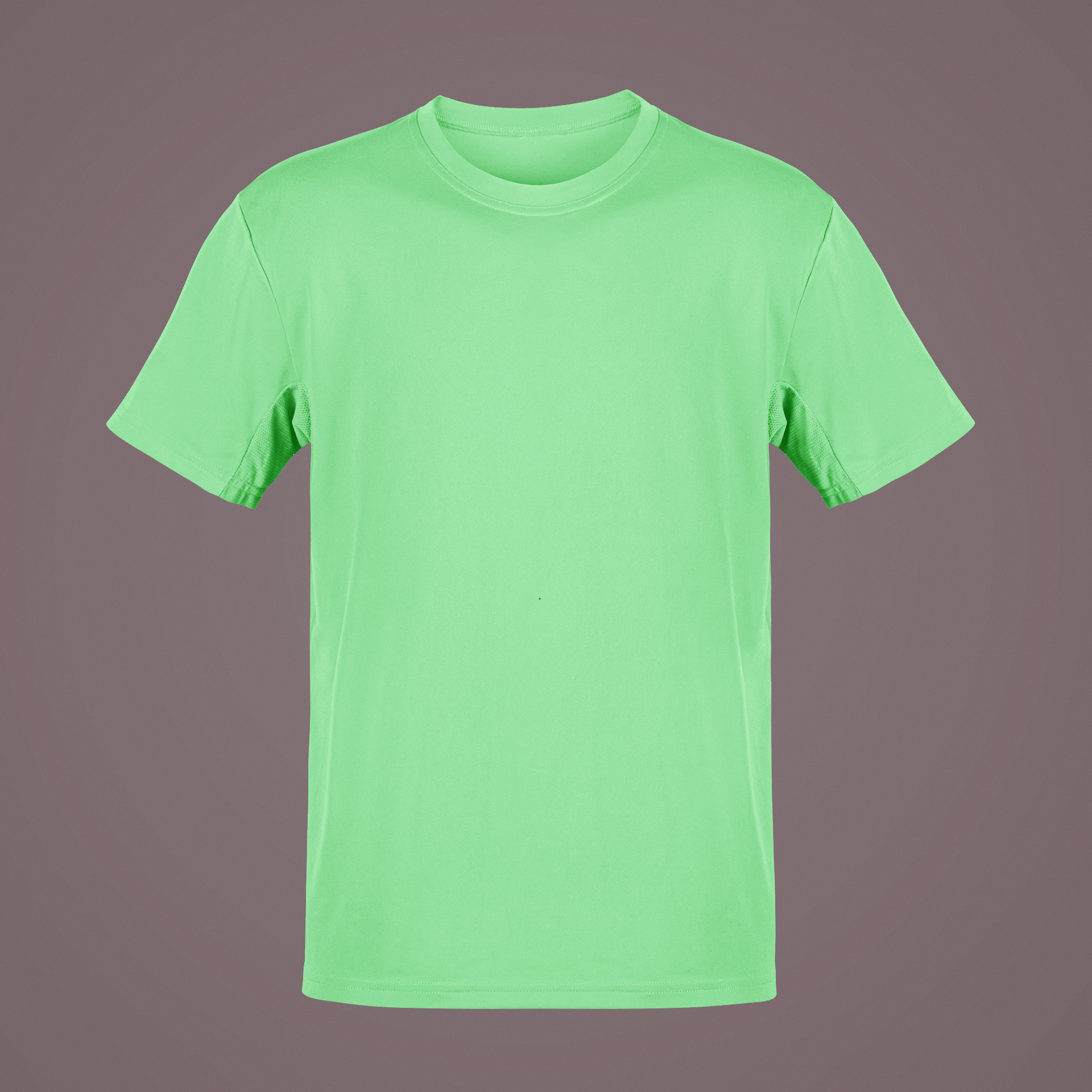 Solid Blank Round Neck Half Sleeve T-Shirt - Pista
