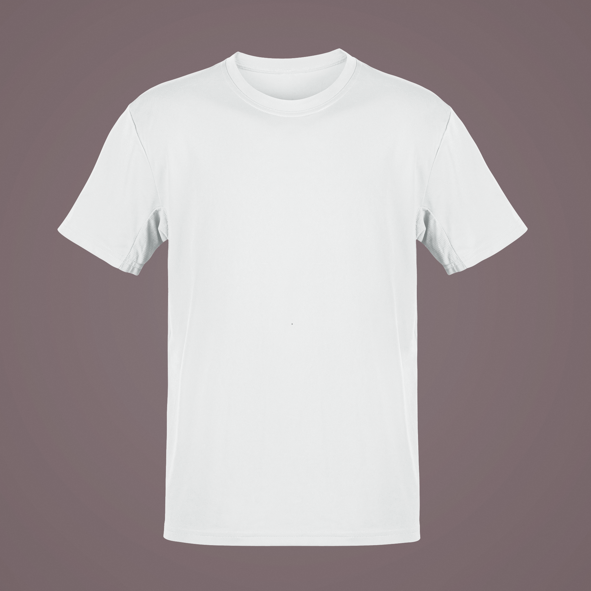Solid Blank Round Neck Half Sleeve T-Shirt - White