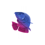 Fishing catfish graphic design