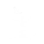 Rise front print design