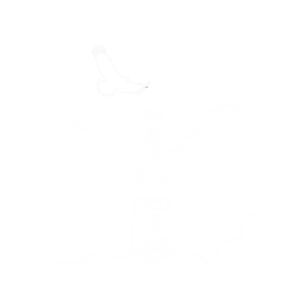 Rise front print design