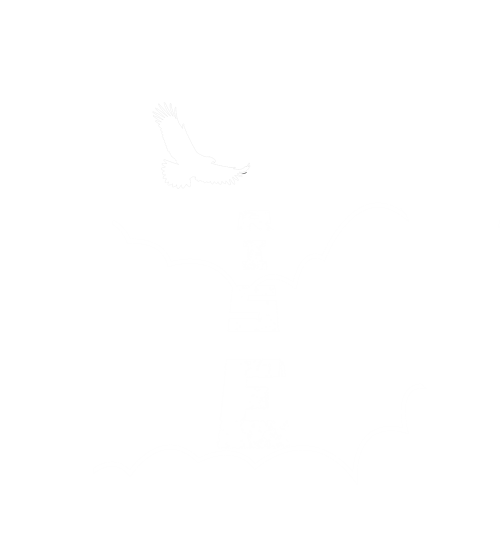 Rise front print design
