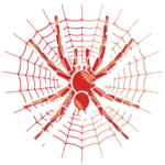Spider web graphic print design