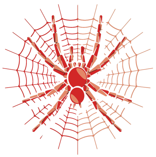 Spider web graphic print design